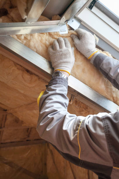 Best Insulation Installation Services in Marion, WI